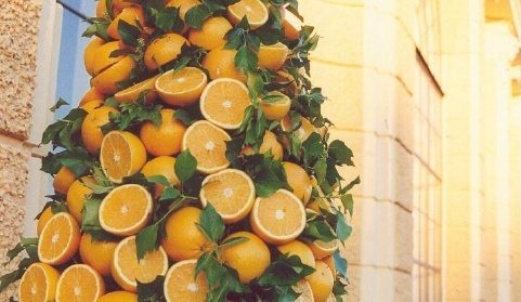 オレンジや半分に切ったものが柱の周りに塔のように並べられてあり、その後ろにはウィーン・オランジェリーの石積みの壁が見えます。