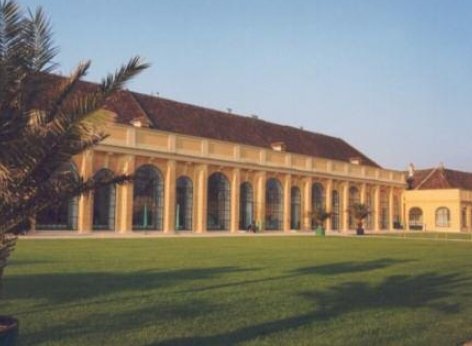 シェーンブルン・オランジェリー - 外から見たコンサート会場、手前には芝生、左側にはヤシの木の枝、後方はクラシックコンサートが開催されるオランジェリー部分が見えます。